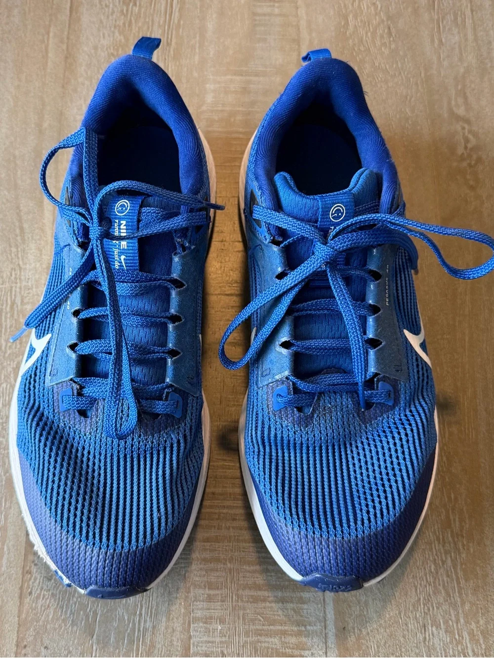Nike Running Shoe